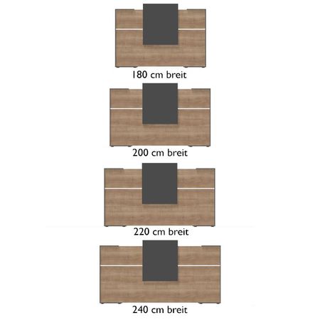 Empfangstheke LEO unterschiedliche Größen wählbar