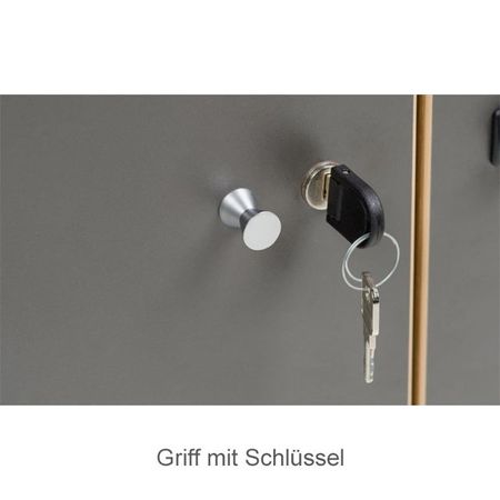 Schließfächer Zylinderschloss mit Griff Schließfachschrank Handyschrank Kleingefachschrank