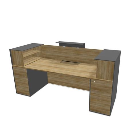 PC-Arbeitsplatz Schreibtisch Empfangstresen Counter Praxistresen Praxistheke Verkaufstheke