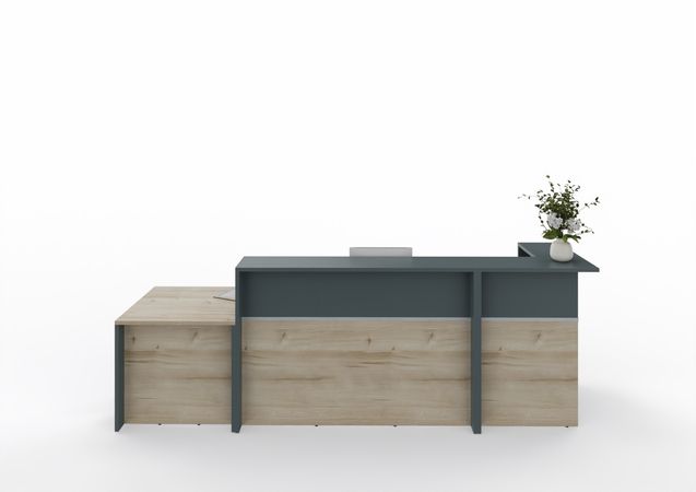 Empfangstheke Entry 3 mit Beratungsplatz | 110 x 320 x 80 cm (HxBxT) | diverse Farben 