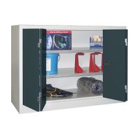 PAVOY Falttürenschrank | Werkstattschrank | 100 x 120 x 60 | mit 2 lackierten oder verzinkten Fachböden | große Farbauswahl